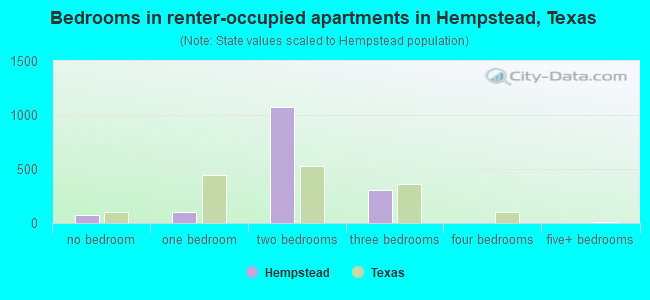 Bedrooms in renter-occupied apartments in Hempstead, Texas