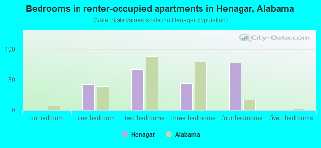 Bedrooms in renter-occupied apartments in Henagar, Alabama