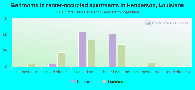 Bedrooms in renter-occupied apartments in Henderson, Louisiana