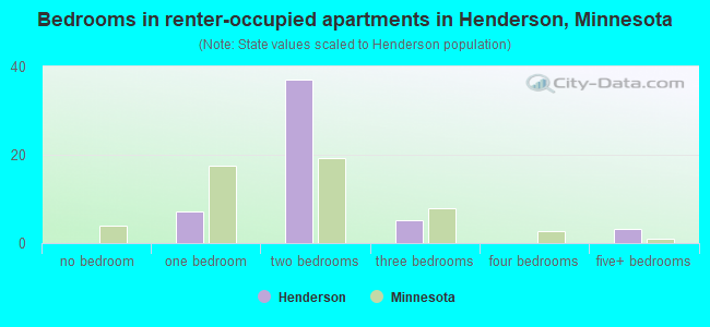 Bedrooms in renter-occupied apartments in Henderson, Minnesota