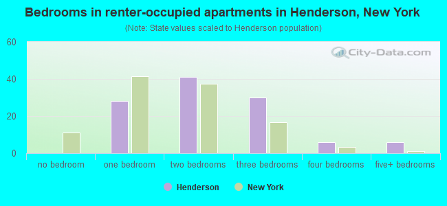 Bedrooms in renter-occupied apartments in Henderson, New York