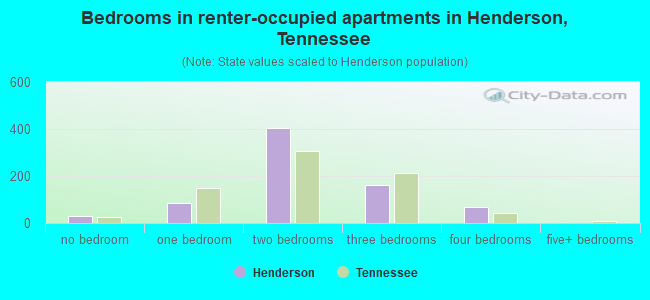 Bedrooms in renter-occupied apartments in Henderson, Tennessee
