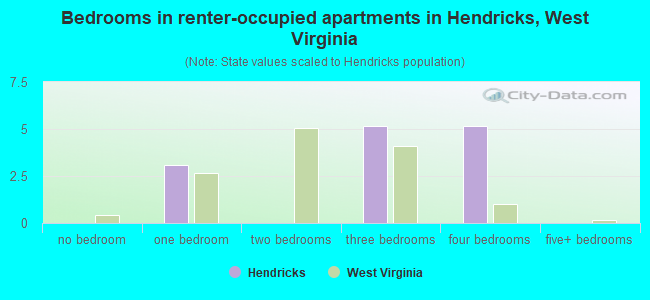 Bedrooms in renter-occupied apartments in Hendricks, West Virginia