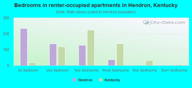 Bedrooms in renter-occupied apartments in Hendron, Kentucky
