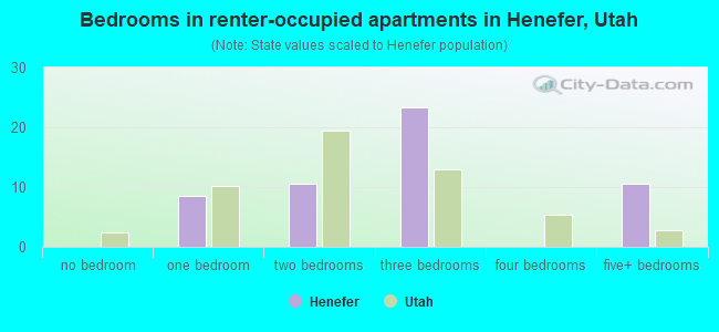 Bedrooms in renter-occupied apartments in Henefer, Utah