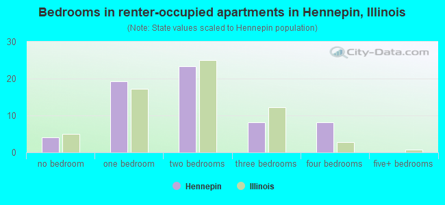 Bedrooms in renter-occupied apartments in Hennepin, Illinois