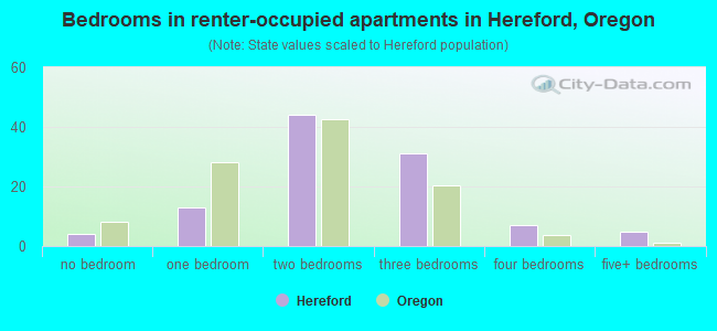 Bedrooms in renter-occupied apartments in Hereford, Oregon
