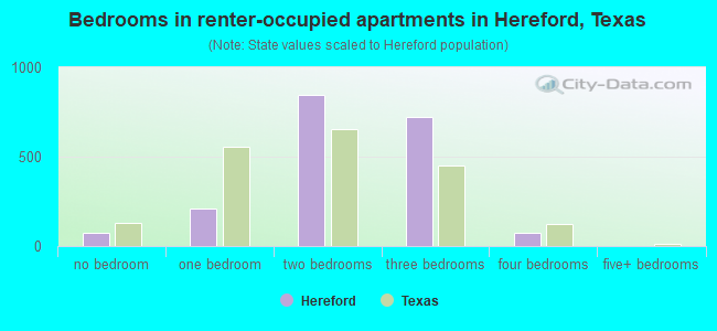Bedrooms in renter-occupied apartments in Hereford, Texas