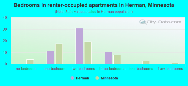 Bedrooms in renter-occupied apartments in Herman, Minnesota