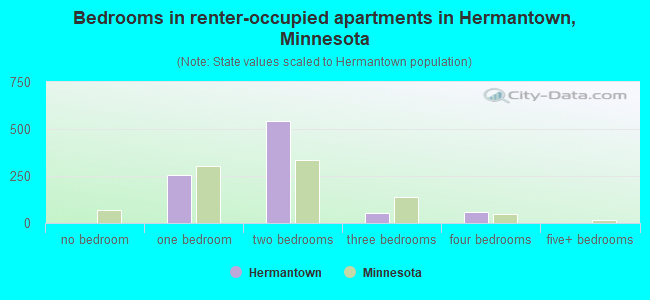 Bedrooms in renter-occupied apartments in Hermantown, Minnesota