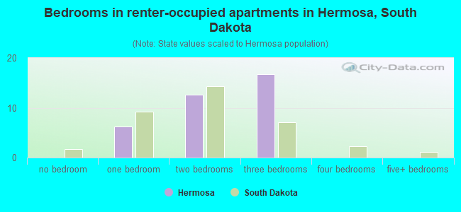 Bedrooms in renter-occupied apartments in Hermosa, South Dakota