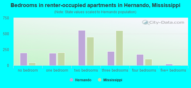 Bedrooms in renter-occupied apartments in Hernando, Mississippi
