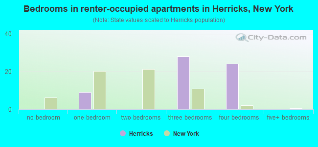 Bedrooms in renter-occupied apartments in Herricks, New York