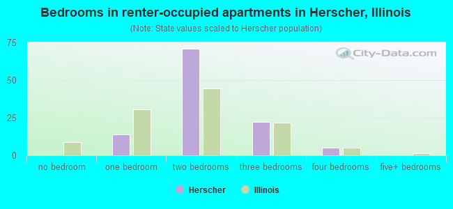 Bedrooms in renter-occupied apartments in Herscher, Illinois