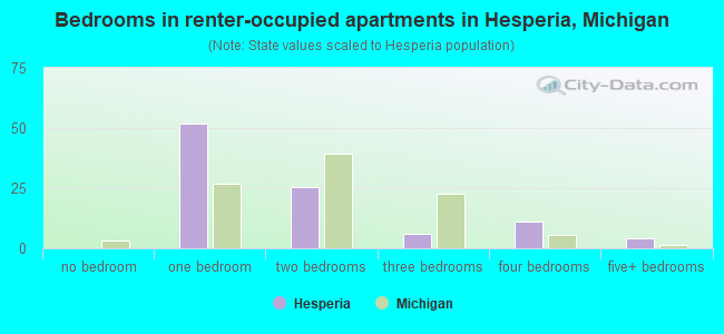 Bedrooms in renter-occupied apartments in Hesperia, Michigan