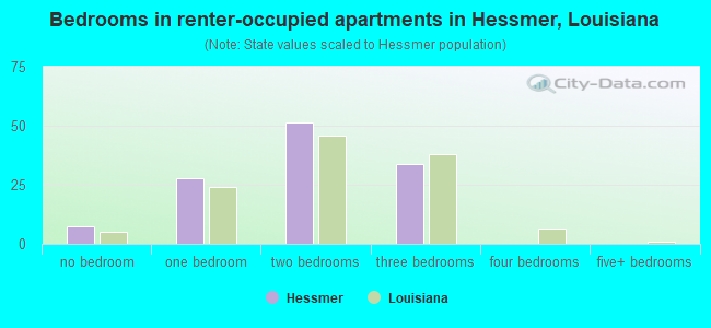 Bedrooms in renter-occupied apartments in Hessmer, Louisiana