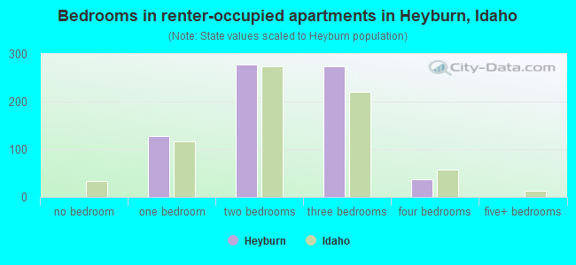 Bedrooms in renter-occupied apartments in Heyburn, Idaho