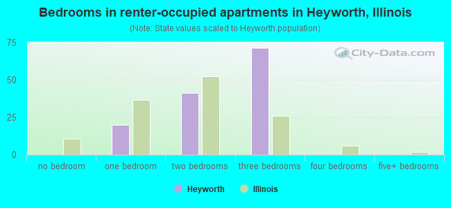 Bedrooms in renter-occupied apartments in Heyworth, Illinois