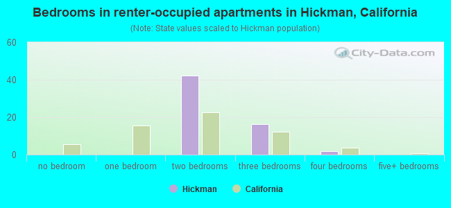 Bedrooms in renter-occupied apartments in Hickman, California