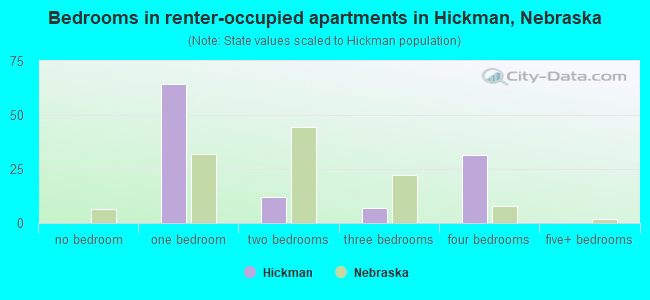 Bedrooms in renter-occupied apartments in Hickman, Nebraska