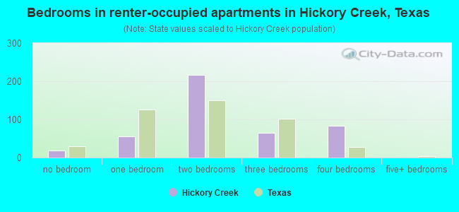 Bedrooms in renter-occupied apartments in Hickory Creek, Texas