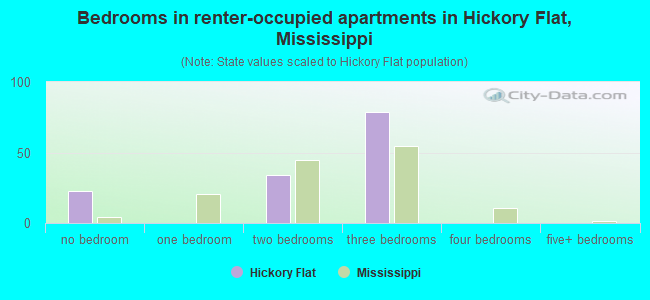 Bedrooms in renter-occupied apartments in Hickory Flat, Mississippi