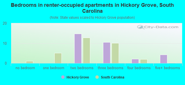 Bedrooms in renter-occupied apartments in Hickory Grove, South Carolina