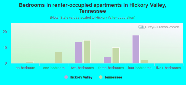 Bedrooms in renter-occupied apartments in Hickory Valley, Tennessee