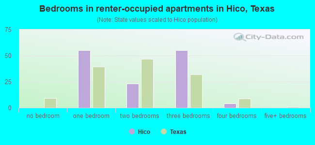 Bedrooms in renter-occupied apartments in Hico, Texas