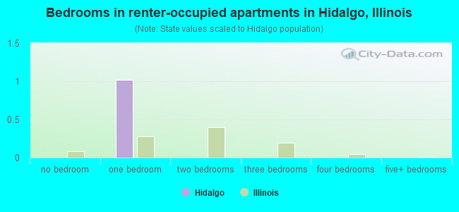 Bedrooms in renter-occupied apartments in Hidalgo, Illinois
