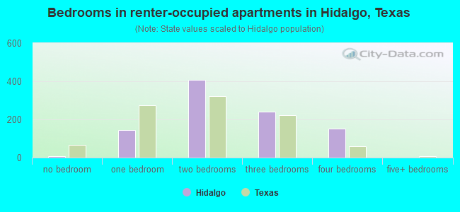 Bedrooms in renter-occupied apartments in Hidalgo, Texas