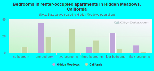 Bedrooms in renter-occupied apartments in Hidden Meadows, California