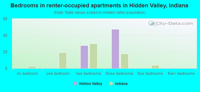 Bedrooms in renter-occupied apartments in Hidden Valley, Indiana