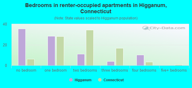 Bedrooms in renter-occupied apartments in Higganum, Connecticut