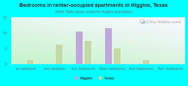 Bedrooms in renter-occupied apartments in Higgins, Texas