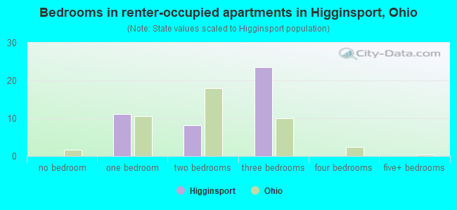 Bedrooms in renter-occupied apartments in Higginsport, Ohio