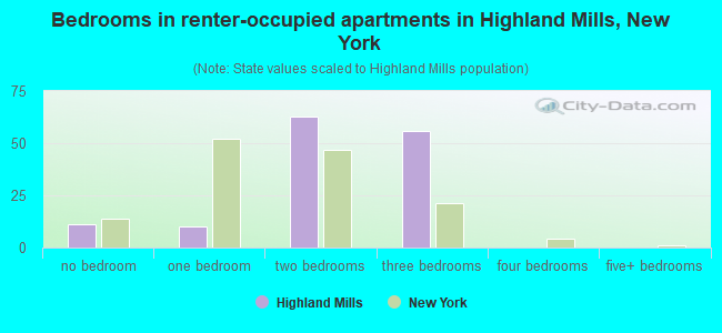 Bedrooms in renter-occupied apartments in Highland Mills, New York