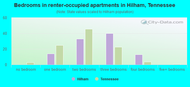 Bedrooms in renter-occupied apartments in Hilham, Tennessee