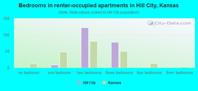Bedrooms in renter-occupied apartments in Hill City, Kansas