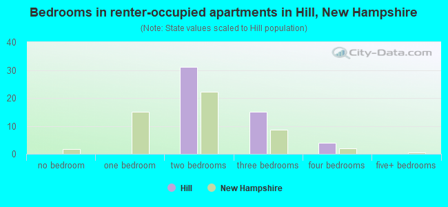 Bedrooms in renter-occupied apartments in Hill, New Hampshire