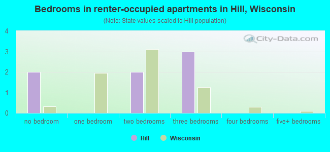 Bedrooms in renter-occupied apartments in Hill, Wisconsin