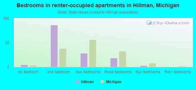 Bedrooms in renter-occupied apartments in Hillman, Michigan