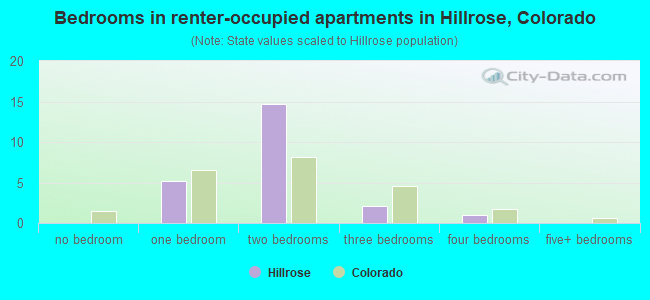 Bedrooms in renter-occupied apartments in Hillrose, Colorado