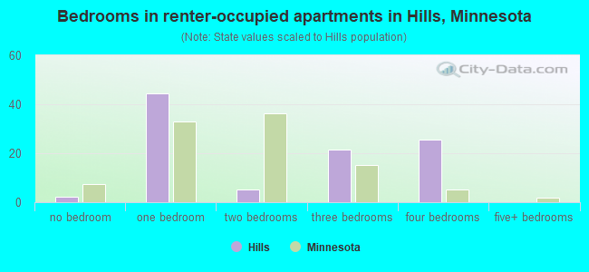 Bedrooms in renter-occupied apartments in Hills, Minnesota