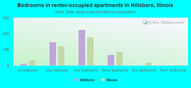 Bedrooms in renter-occupied apartments in Hillsboro, Illinois