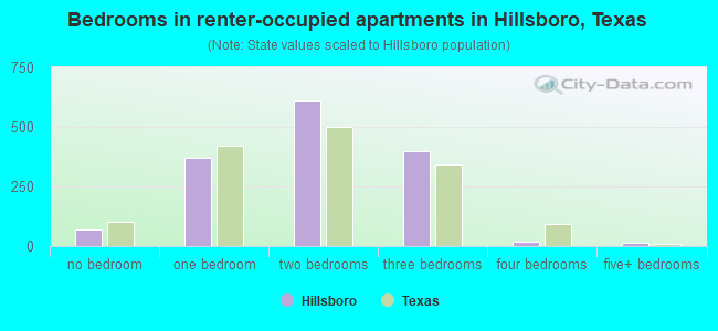 Bedrooms in renter-occupied apartments in Hillsboro, Texas