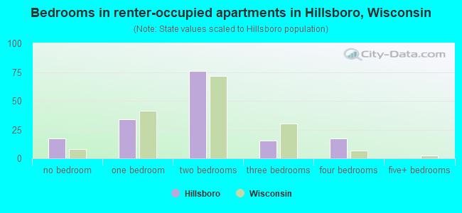 Bedrooms in renter-occupied apartments in Hillsboro, Wisconsin