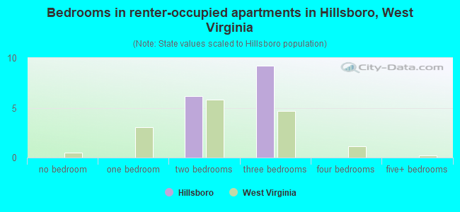 Bedrooms in renter-occupied apartments in Hillsboro, West Virginia