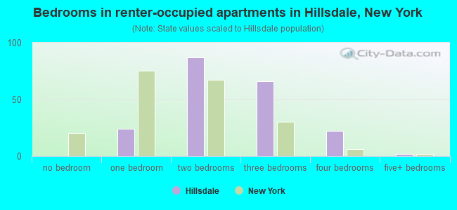 Bedrooms in renter-occupied apartments in Hillsdale, New York