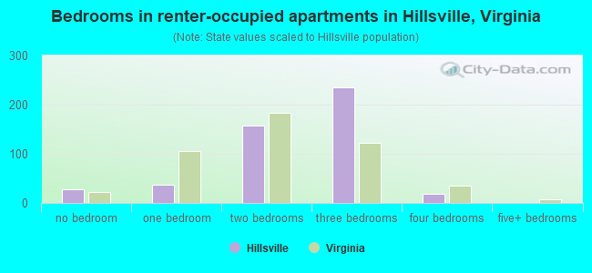 Bedrooms in renter-occupied apartments in Hillsville, Virginia